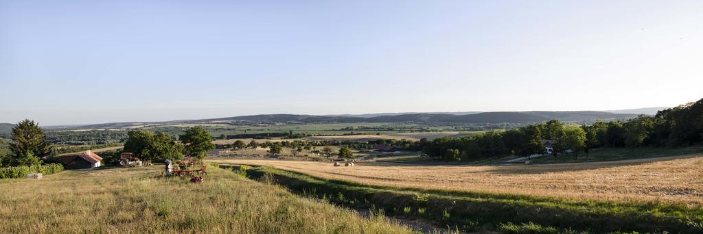 Oereghegyi Apartman Vindornyalak Bagian luar foto